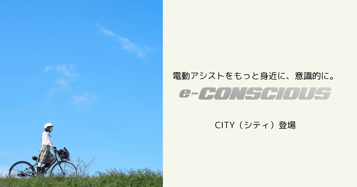 Yahoo!オークション - 綺麗【 サイモト自転車 allegresse