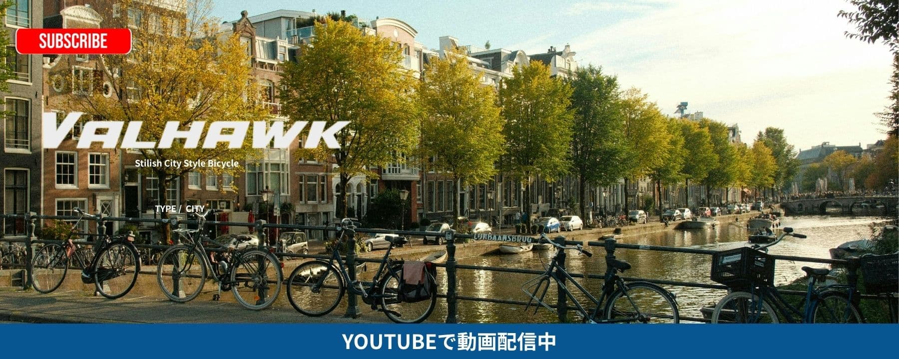 【新製品登場】大人気VALHAWK(バルホーク)を徹底解説!初心者にもわかりやすい安心ガイド/SAIMOTO TV